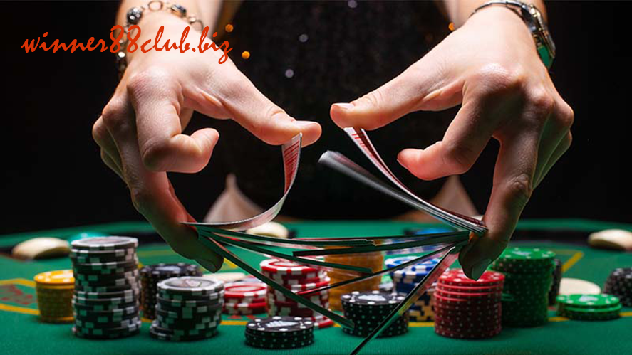 เกี่ยวกับเรา